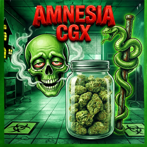 FLEUR CBD PUISSANTE AMNESIA CGX