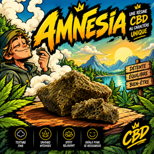 RESINE NATUREL MODIFIER AMNESIA