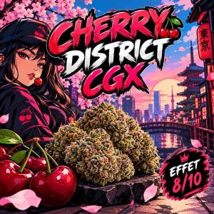 FLEUR CBD CHERRY DISTRICT CGX EFFET GARANTI